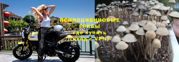 гидропоника Великий Новгород
