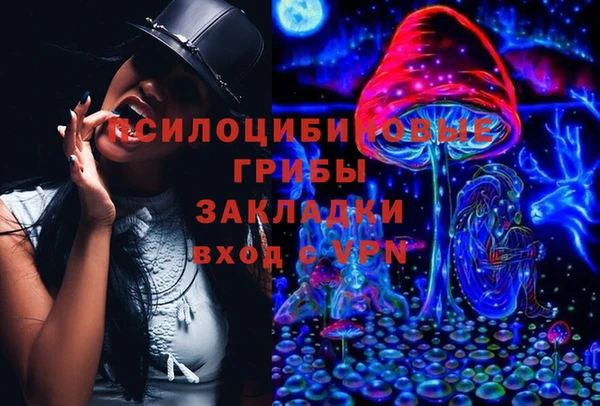 ALPHA PVP Богородск
