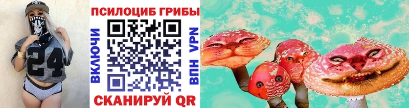 Псилоцибиновые грибы мухоморы  наркотики  Гороховец 